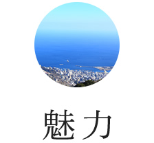 魅力